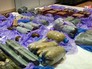 Изъятая взрывчатка у задержанных в Крыму украинских диверсантов Изъятая взрывчатка у задержанных в Крыму украинских диверсантов