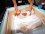Выставка древней Греции в Историческом музее Выставка древней Греции в Историческом музее