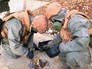 Российские специалисты изучают последствия применения химоружия в Сирии Российские специалисты изучают последствия применения химоружия в Сирии