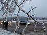 Лед на ветках деревьев Лед на ветках деревьев