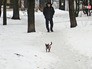 Мужчина гуляет с собакой Мужчина гуляет с собакой