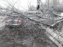 Последствия ледяного дождя Последствия ледяного дождя