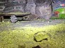 Военные специалисты выявляют следы химоружия примененного в Сирии Военные специалисты выявляют следы химоружия примененного в Сирии