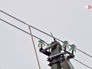 Последствия ледяного дождя Последствия ледяного дождя