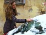 Последствия падениея наледи Последствия падениея наледи