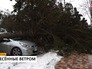 Последствия мощного урагана Последствия мощного урагана