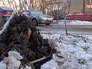 Последствия мощного урагана Последствия мощного урагана