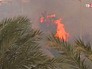 Пожары в Израиле Пожары в Израиле