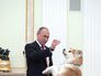 Владимир Путин и собака Юмэ Владимир Путин и собака Юмэ