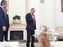 Владимир Путин и собака Юмэ Владимир Путин и собака Юмэ
