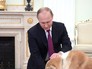 Владимир Путин и собака Юмэ Владимир Путин и собака Юмэ