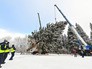 Рубка главной новогодней елки страны Рубка главной новогодней елки страны