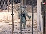 Саперы разминируют улицы Алеппо в Сирии Саперы разминируют улицы Алеппо в Сирии