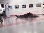 Покушение на российского посла в Анкаре Андрея Карлова Покушение на российского посла в Анкаре Андрея Карлова