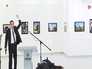 Убийство российского посла в Анкаре Андрея Карлова Убийство российского посла в Анкаре Андрея Карлова