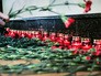 Возложение цветов Возложение цветов