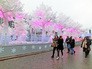 Новогодняя иллюминация на Пушкинской площади Новогодняя иллюминация на Пушкинской площади