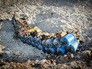 Обезвреженные боеприпасы в Сирии Обезвреженные боеприпасы в Сирии