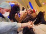 Военные врачи осматривают жителей Сирии Военные врачи осматривают жителей Сирии