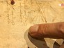 Рисунки Леонардо да Винчи Рисунки Леонардо да Винчи