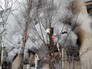 Последствия взрыва газа в Саратове Последствия взрыва газа в Саратове