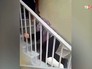 Пациентка поликлиники в Уфе спускается по лестнице на коленях Пациентка поликлиники в Уфе спускается по лестнице на коленях