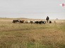 Фермерское хозяйство Фермерское хозяйство