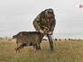 Фермерское хозяйство Фермерское хозяйство