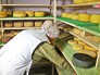 Сырное производство Сырное производство