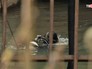 Водолазы проводят чистку Водолазы проводят чистку