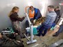 Тигренок после операции Тигренок после операции