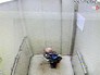 Забытый ребенок в лифте Забытый ребенок в лифте