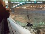 Работа сотрудников МЧС по извлечению скатившегося автомобиля в Москву-реку Работа сотрудников МЧС по извлечению скатившегося автомобиля в Москву-реку
