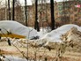 Сугробы во дворе Сугробы во дворе