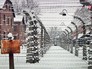 Концлагерь Освенцим Концлагерь Освенцим