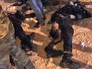 Место стрельбы в Чечне Место стрельбы в Чечне