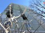 Последствия пожара в Москве Последствия пожара в Москве