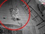 Замерзший мужчина на крыльце дома престарелых Замерзший мужчина на крыльце дома престарелых
