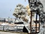 Взрыв в Сирии Взрыв в Сирии