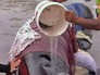 На берег выбросились дельфины в Новой Зеландии На берег выбросились дельфины в Новой Зеландии