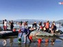 В Новой Зеландии дельфины выбросились на берег В Новой Зеландии дельфины выбросились на берег