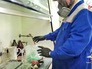 Лабораторные анализы наркотиков Лабораторные анализы наркотиков