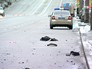 Машины ДПС на месте ДТП Машины ДПС на месте ДТП