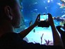 Посетители океонариума Посетители океонариума