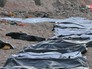Тело мигранта на побережье Ливии Тело мигранта на побережье Ливии