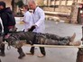 Врачи эвакуируют пострадавшего в боевых действиях в Сирии Врачи эвакуируют пострадавшего в боевых действиях в Сирии
