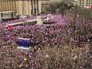 Митинг во Франции Митинг во Франции