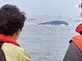 Крушение парома "Севоль" в Южной Корее Крушение парома "Севоль" в Южной Корее