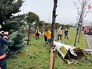 Место крушения вертолета с россиянами в Стамбуле Место крушения вертолета с россиянами в Стамбуле