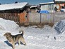 Поселок в Хабаровском крае Поселок в Хабаровском крае